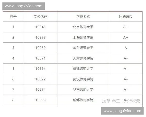 赛场秩序管理与体育精神建设的协同发展探讨