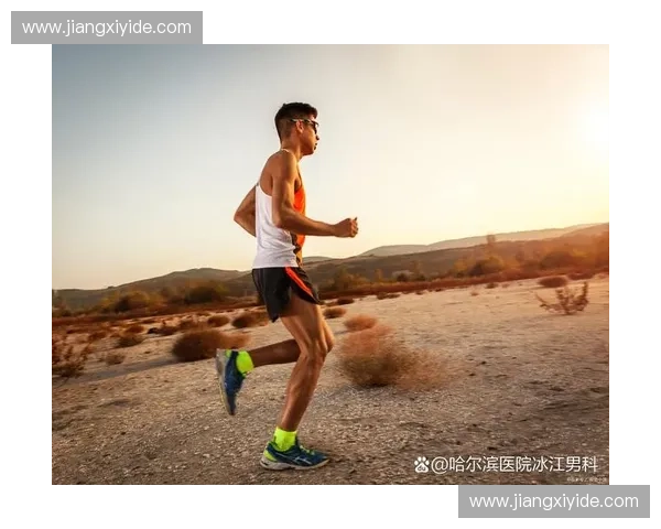 以爆发跳跃为核心的全身力量提升与运动表现突破训练新思路
